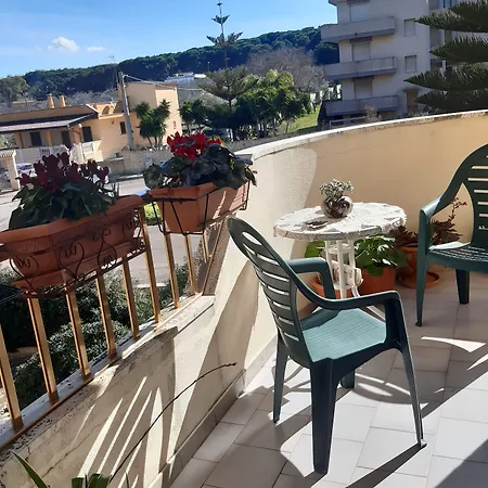 Moonaurora Gallipoli